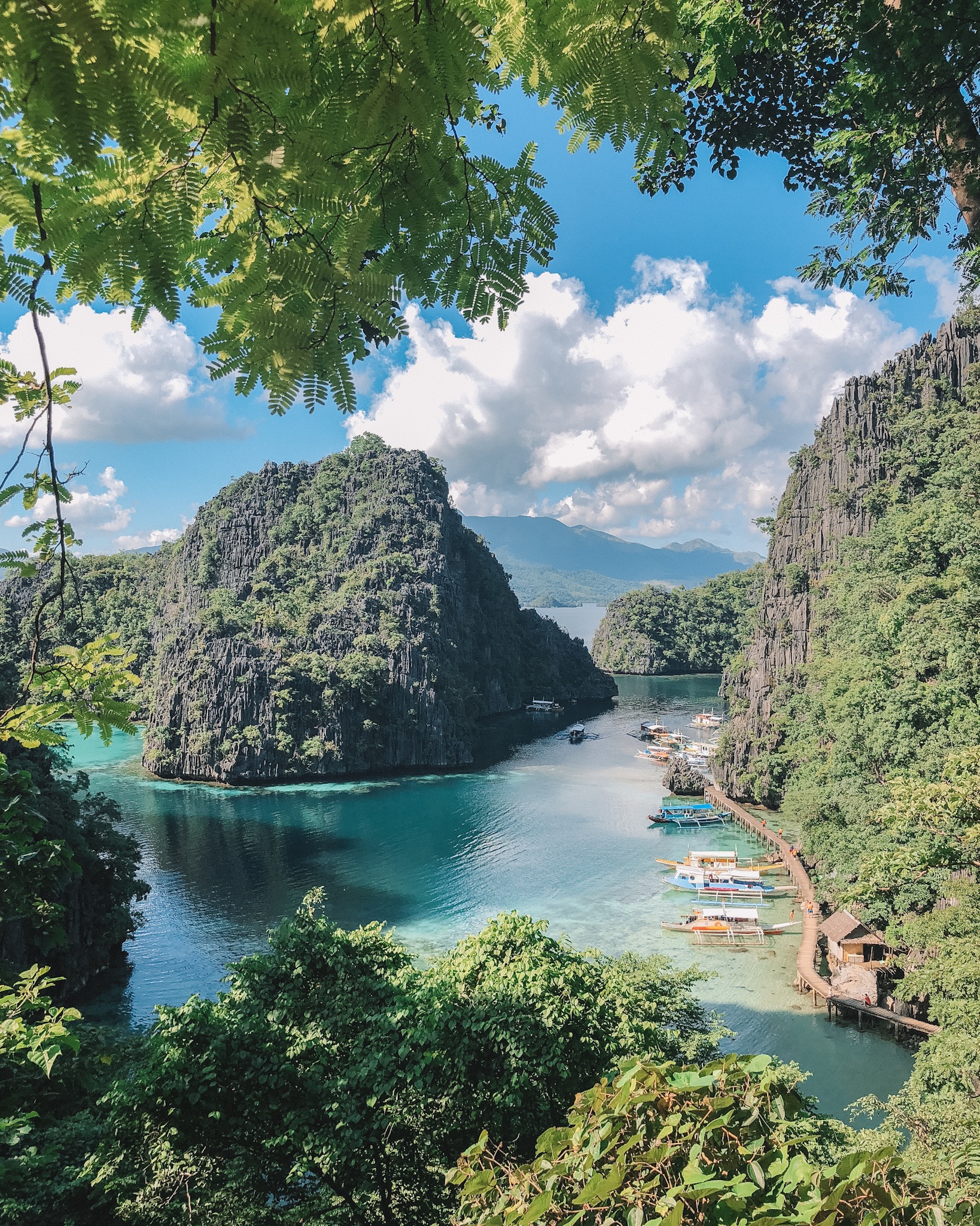 The Funny Lion Coron